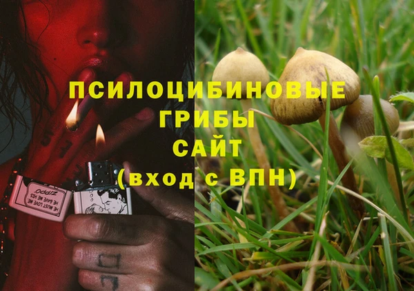 гашиш Горняк